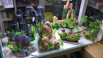 حوض أسماك ركن الأميرة - أبو ظبي - +971 50 566 6361