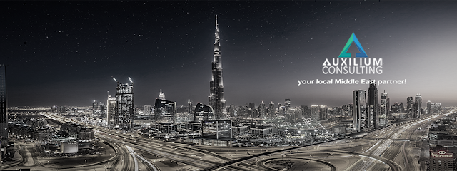 Auxilium Consulting FZE - أبو ظبي - +971 55 558 1868