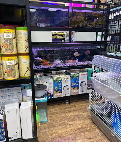 عالم أكواريوم - أبو ظبي - +971 52 288 0717