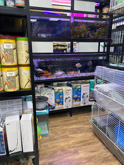 عالم أكواريوم - United Arab Emirates|Al Shamkhah - Abu Dhabi