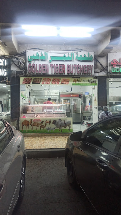 ملحمة النمر الذهبي - United Arab Emirates|Mohamed Bin Zayed City - Shabiya 12 - Abu Dhabi