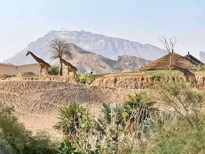 رياضة الخط الأمامي - أبو ظبي - +971 55 566 4748