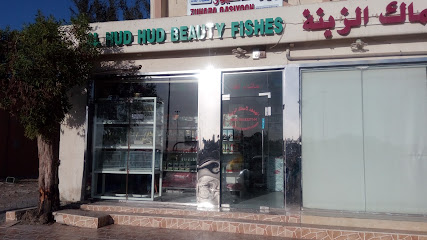 الهدهد الأسماك والطيور الحية - أبو ظبي - +971 50 832 7144