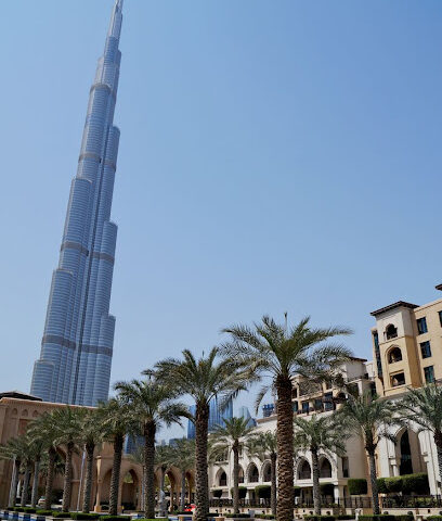 NETWORK INTEGRATORS LLC - أبو ظبي - +971 50 825 3507