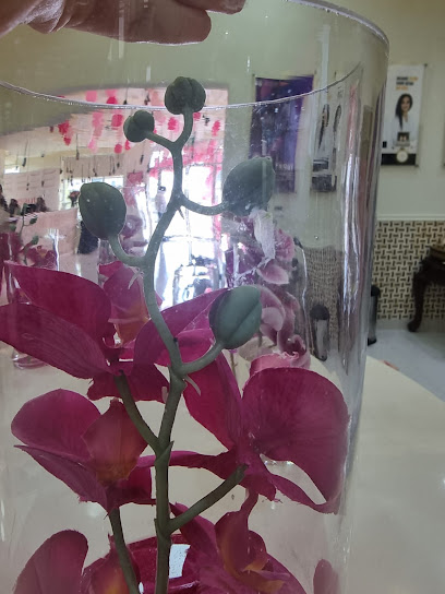 الافراح للشوكولا والزهور الغربية - United Arab Emirates|Al Danah - Zone 1 - Abu Dhabi|3rd St|F9V7+MGP