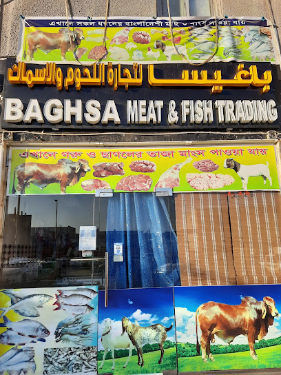 البقسة لتجارة اللحوم والأسماك - United Arab Emirates|Musaffah - M-6 - Abu Dhabi|9GC7+W5W