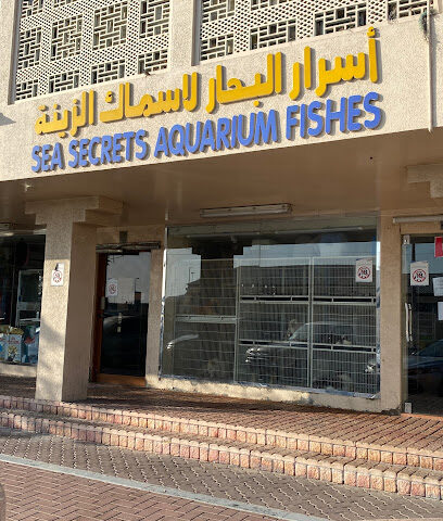 أسماك البحر السرية - أبو ظبي -