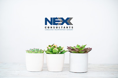 نيكس للاستشارات - أبو ظبي - +971 50 933 0152