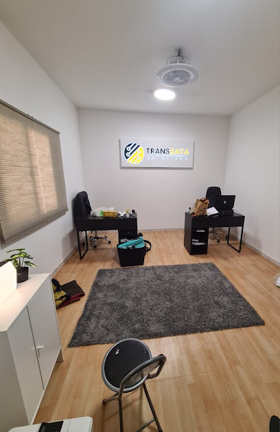 Transdata Solutions LLC -