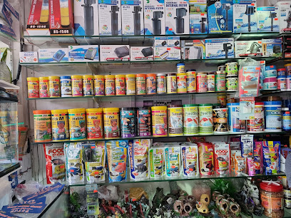 أحواض الأحياء المائية المطلة على البحر - أبو ظبي - +971 55 999 0456