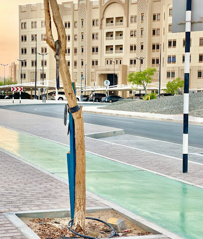 BG-160 - أبو ظبي - +971 800 789247