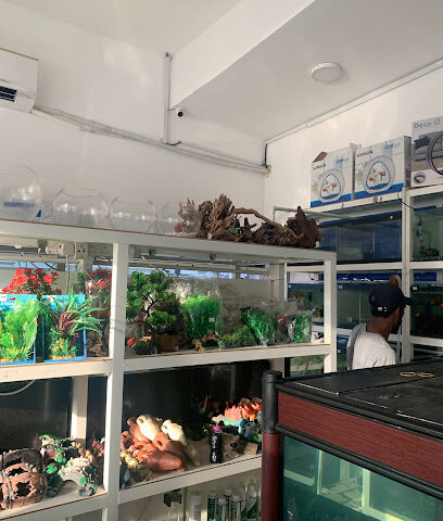 نور الصفا لسمك الزينة. TR - أبو ظبي - +971 56 360 6454