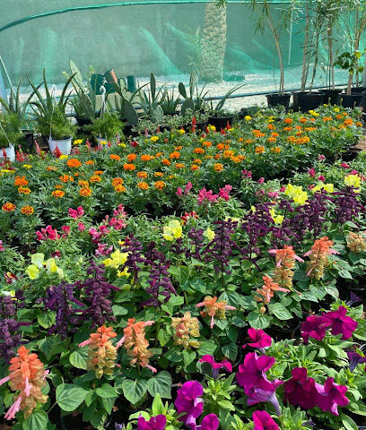 مشاتل هوم يارد - مشتل هوم يارد -  - +971 58 600 6322