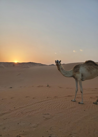 مزيرعة - United Arab Emirates|Abu Dhabi