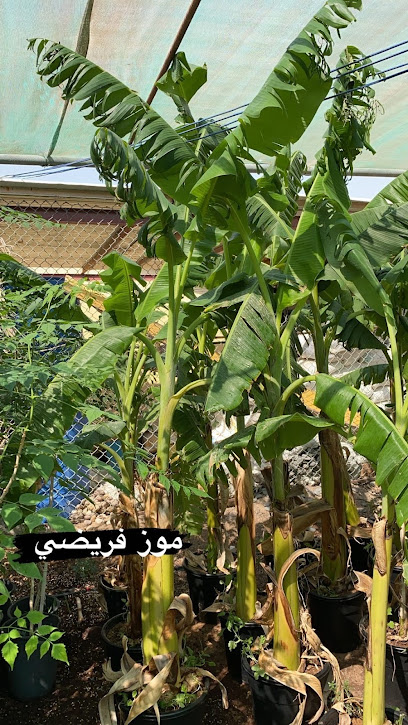 مؤسسة الثروة الزراعية - United Arab Emirates|Al Farfar - Fujairah|47X6+6QQ