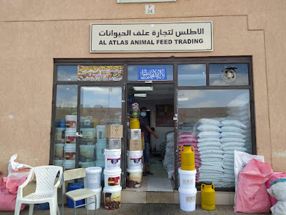 شركة الأطلس لتجارة الأعلاف الحيوانية - أبو ظبي - +971 55 469 7311