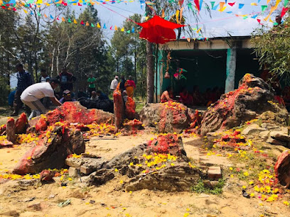 اينسلي - أبو ظبي -