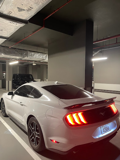 جاهز لتأجير السيارات - United Arab Emirates|Business Bay - Dubai|Tower 2nd Floor