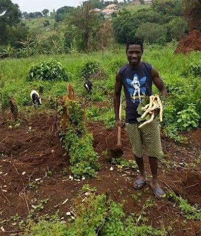 محل النخيل للتجارة - أبو ظبي - +971 7 228 9929