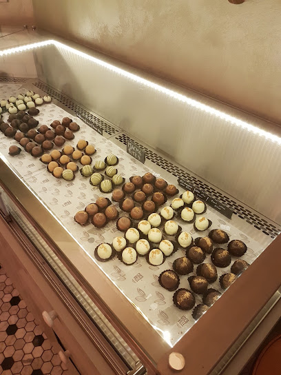 كوكوفيل - United Arab Emirates|Nad Al Sheba 1 - Dubai|Shop #6