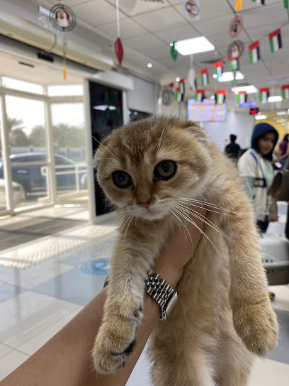 قسم الخدمات البيطرية ببلدية دبي - United Arab Emirates|near Football Association - Wadi Al Amardi - Dubai|Al Khawaneej Road|6FG8+GRW، Veterinary Services Building