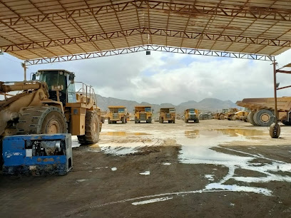 محجر الصقر الصاعد من الحجر الجيري - أبو ظبي -