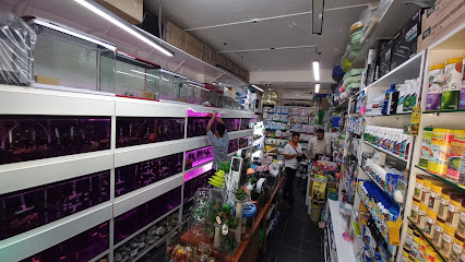 حوض أكوا لاند وأغذية الحيوانات الأليفة - أبو ظبي - +971 50 370 0209