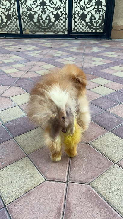 عيادة الطارق البيطرية - United Arab Emirates|Al Helio - Ajman