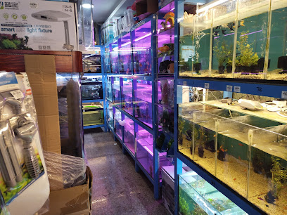 العربية لأسماك الزينة المحدودة ذ - أبو ظبي - +971 6 563 5001