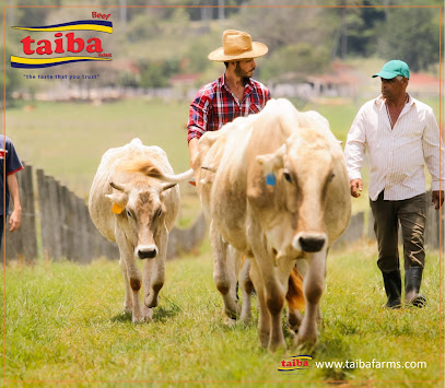 مزارع طيبة - أبو ظبي - +971 4 311 6185