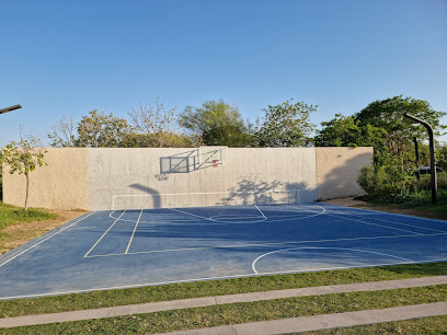 ملعب كرة سلة 3 - أبو ظبي -