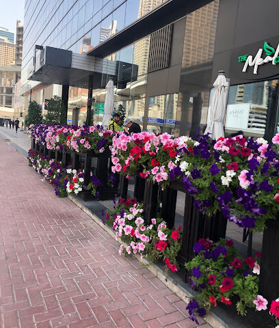 شركة تسكاب للكمبيوتر والمتطلبات التجارية ذ - أبو ظبي -