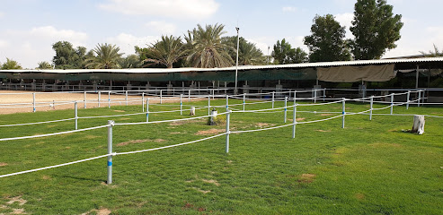 مزرعة واحة الصحراء للحيوانات الأليفة - أبو ظبي - +971 54 484 3394