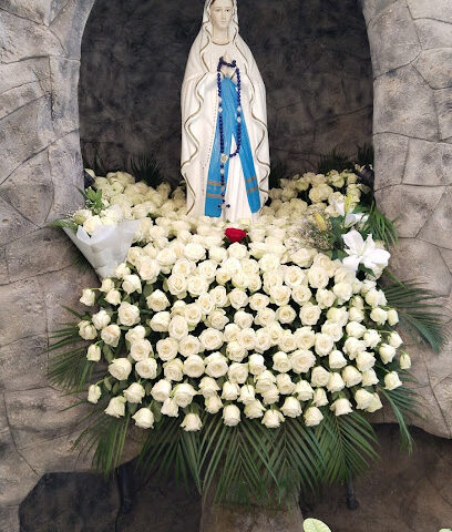 كنيسة سيدة العون الدائم - أبو ظبي - +971 9 223 1377