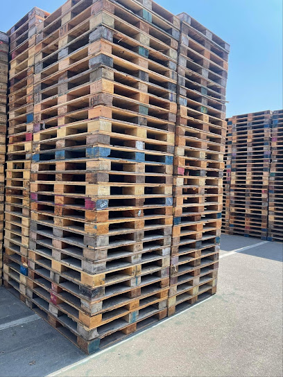 إتيرنيتي تكنولوجيز منطقة حرة - ذ - United Arab Emirates|Al Jazeera Al Hamra Industrial - Ras al Khaimah|MQ4V+3PJ