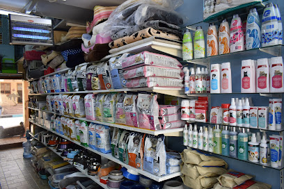 طيور دريم آيلاند بيوتي - أبو ظبي - +971 54 441 5723