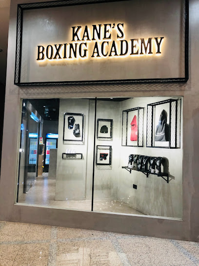 أكاديمية كانيس للملاكمة - United Arab Emirates|Abu Dhabi|Fotouh Al Khair Shopping Centre