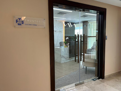 شركة Trustegic للمحاسبين القانونيين والاستشارات - أبو ظبي - +971 2 666 9799