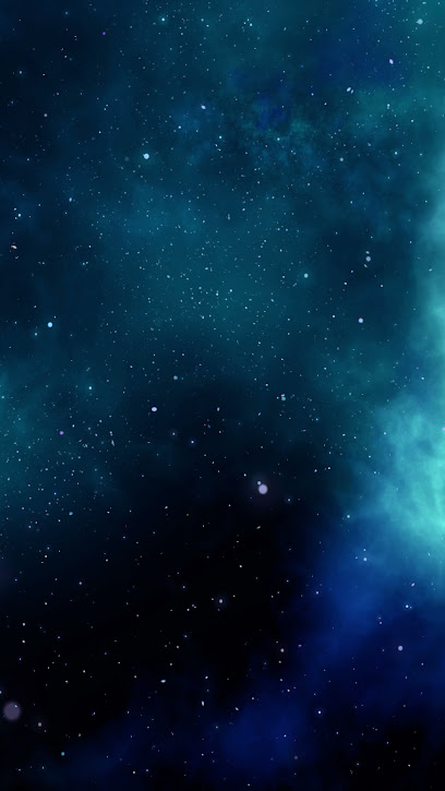 نيتكور لحلول تكنولوجيا المعلومات - United Arab Emirates|Central District - Abu Dhabi|763 Zayed Bin Sultan St