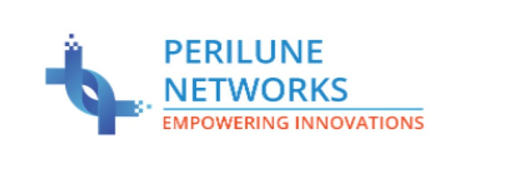 Perilune Networks FZC - United Arab Emirates|Umm Al Quawain|Al Shmookh Business Center