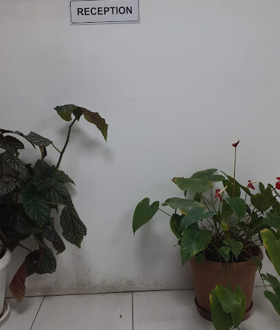 شركة انترناشونال للديكور ذ م م - أبو ظبي - +971 2 626 9860