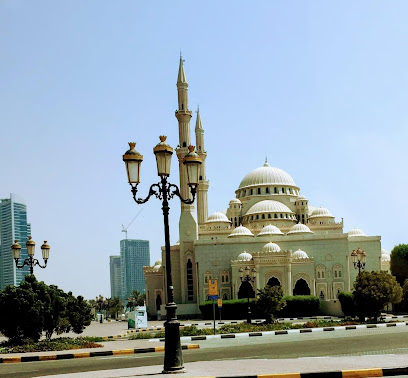 الإمارات العربية المتحدة - أبو ظبي -