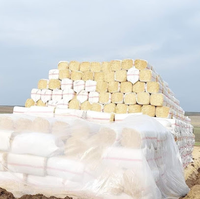 شركة أحمد المقبلي - اعلاف أمكو فيد amco feed - أبو ظبي - +971 55 580 5540