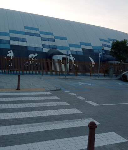 كرة السلة GTS - أبو ظبي - +971 50 819 0479