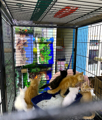 بيت الحيوان رأس الخيمة - أبو ظبي - +971 56 918 5455