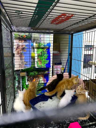 بيت الحيوان رأس الخيمة - United Arab Emirates|Al Juwais - Ras al Khaimah