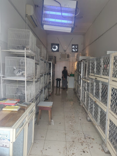 طيور ابو محمد - United Arab Emirates|Old Ras Al Khaimah - The Old Market - Ras al Khaimah|QXV2+96F