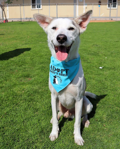 مركز رأس الخيمة لرعاية الحيوان - United Arab Emirates|Ras al Khaimah|Industrial Area