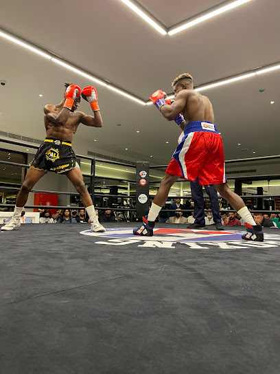 نادي الملاكمة الكوبي دبي - United Arab Emirates|Al Quoz - Dubai|warehouse 6 First Al Khail St
