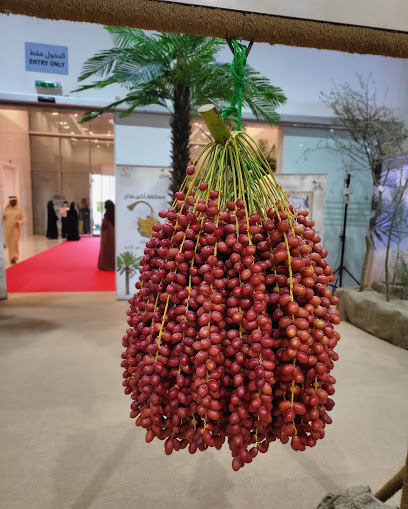 اكسبو الذيد - United Arab Emirates|Sharjah|E55|7W42+9WG